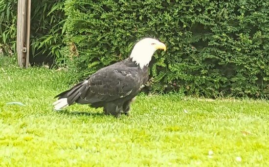 Dierenpark de Oliemeulen